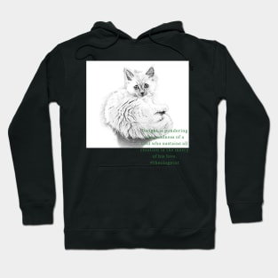 #theologycat goodness of God Hoodie